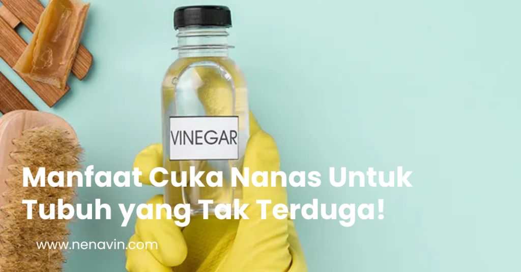 Manfaat Cuka Nanas