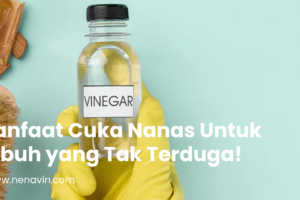 Manfaat Cuka Nanas Untuk Tubuh yang Tak Terduga!