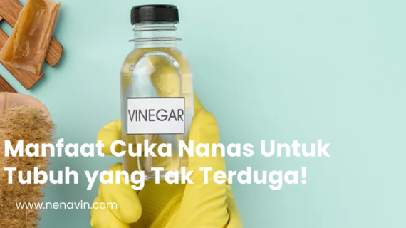Manfaat Cuka Nanas Untuk Tubuh yang Tak Terduga!