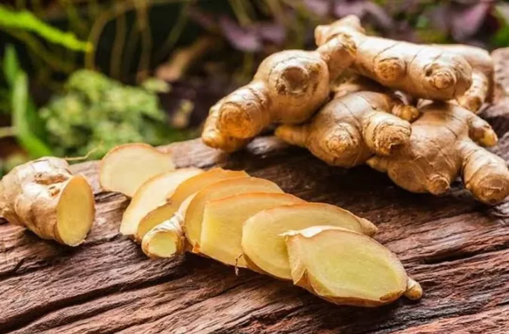 obat asam urat alami