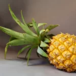 7 Manfaat Nanas Madu yang Perlu Anda Ketahui!