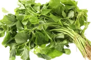 Apa Sayur yang Tidak Boleh Dimakan Penderita Asam Urat?
