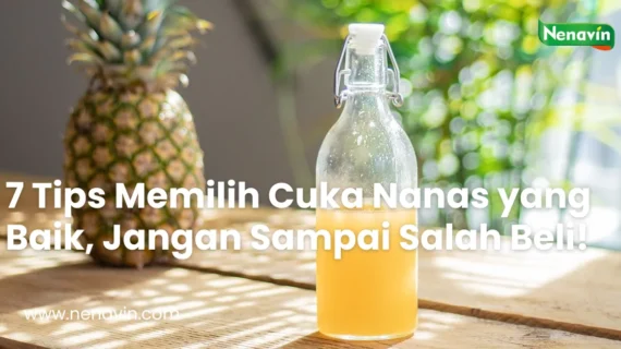 7 Tips Memilih Cuka Nanas yang Baik, Jangan Sampai Salah Beli!