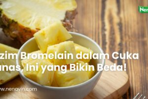 Enzim Bromelain dalam Cuka Nanas, Ini yang Bikin Beda!