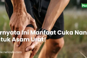 Ternyata Ini Manfaat Cuka Nanas untuk Asam Urat!