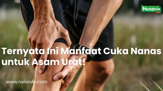Ternyata Ini Manfaat Cuka Nanas untuk Asam Urat!