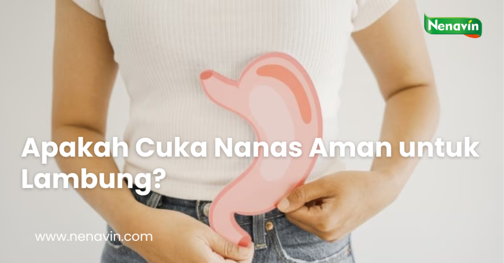 Apakah Cuka Nanas Aman untuk Lambung?