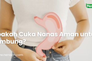 Apakah Cuka Nanas Aman untuk Lambung?