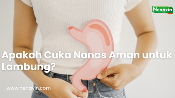 Apakah Cuka Nanas Aman untuk Lambung?