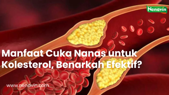 Manfaat Cuka Nanas untuk Kolesterol, Benarkah Efektif?