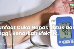 Manfaat Cuka Nanas untuk Darah Tinggi, Benarkah Efektif?
