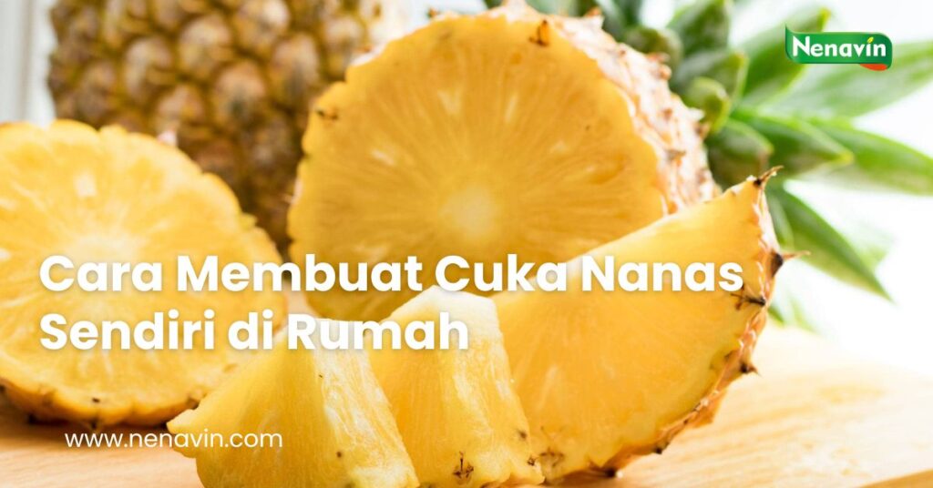 Cara Membuat Cuka Nanas Sendiri di Rumah