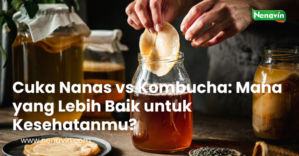 Cuka Nanas vs Kombucha