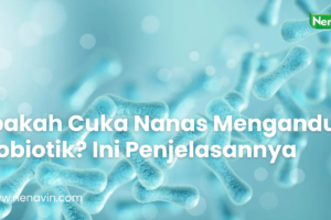 Apakah Cuka Nanas Mengandung Probiotik? Ini Penjelasannya
