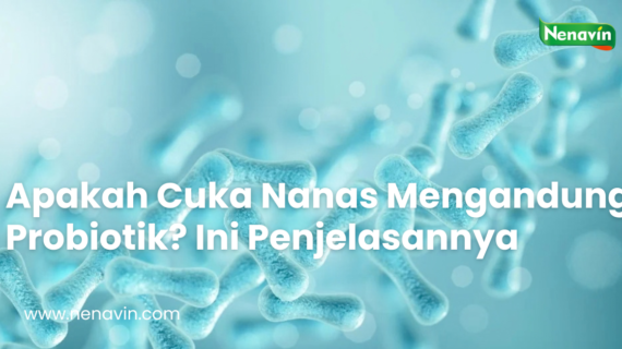 Apakah Cuka Nanas Mengandung Probiotik? Ini Penjelasannya