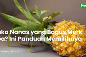 Cuka Nanas yang Bagus Merk Apa? Ini Panduan Memilihnya