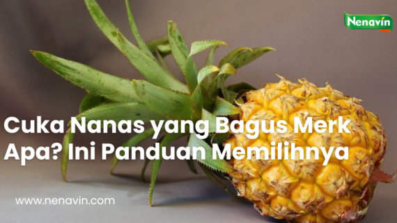 Cuka Nanas yang Bagus Merk Apa? Ini Panduan Memilihnya