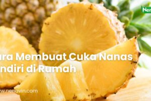 Cara Membuat Cuka Nanas Sendiri di Rumah